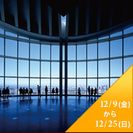 12/9(��) ����12/25(��)