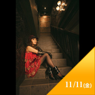 11/11�i���j
